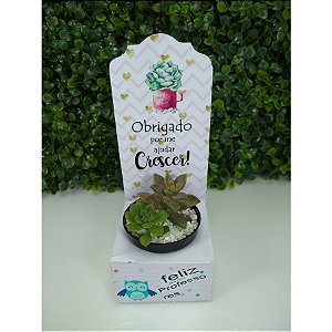 Embalagem caixa para suculenta dia dos professores 10 unidades