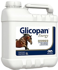 Glicopan Energy 5 Litros
