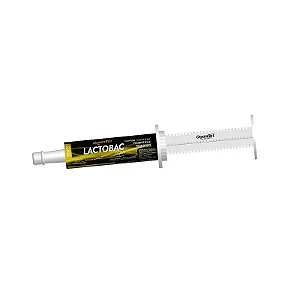 Lactobac Equi 66 mL