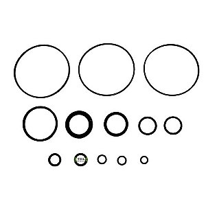 DQ20330; - REPARO MOTOR HIDRAULICO MOLINETE