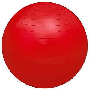 Professional Fisioball 55 cm - Vermelha