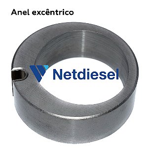 7139-540 - Anel Excêntrico - Delphi