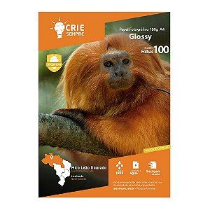 Papel Fotográfico Glossy 180g Crie Sempre 180g 100 folhas