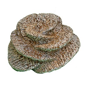 Flor de Pedra Sabão para Decoração de Jardim G (S)