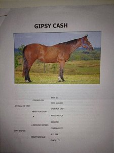 GIPSY CASH