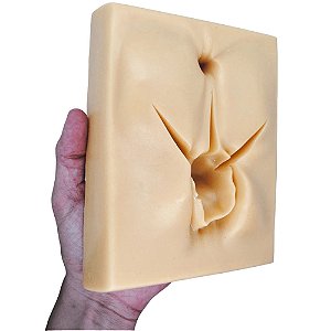 Simulador para Treino de Sutura Genital Ortho Pauher