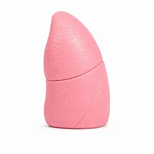 Modelo Anatômico Pulmão saldável em Silicone Ortho Pauher