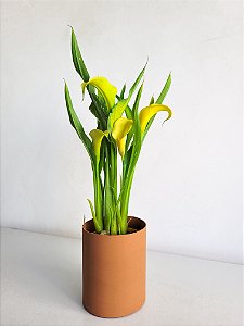 Calla Mini | Pote Pequeno