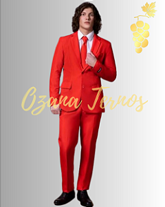 Terno Costume Vermelho Vibrante