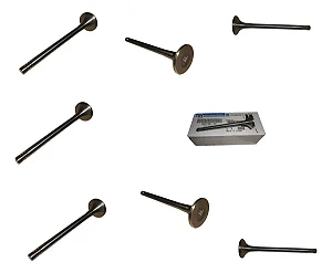 Jogo Válvula Escape Peugeot Boxer 2.0 16v Ducato