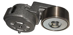 Tensor Esticador Correia Polia Estriada Ford Vw Cargo 8.3