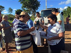 casa  na praia  da  caueira  para  alugar