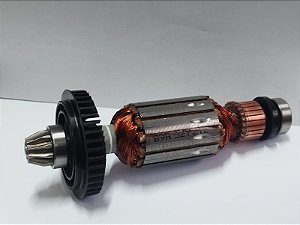 CONJ. INDUZIDO ROLAMENTO E PINHAO 220V