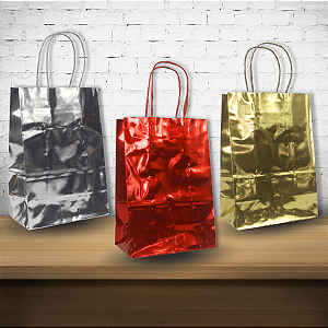 Kit 10 Sacolas Kraft Metalizado 21x15x8 cm Modelo Premium