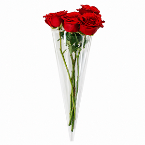 Embalagem Cone para Flores 2,5+13x48cm com 100 unidades
