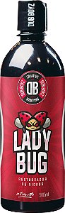 LADY BUG REMOVEDOR DE CHUVA ACIDA 500ML - DUB BOYZ