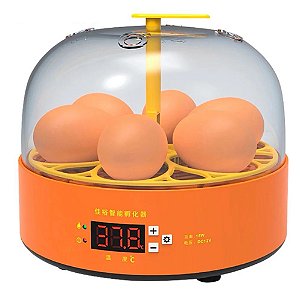 Mini Chocadeira Lorben Incubadora até 6 Ovos Galinhas Patos Digital Semi Autom?