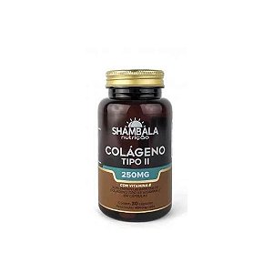 Colageno Tipo II C/ Vitamina E 30caps - Shambala