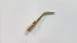 INSERTO G2 (GNATUS)