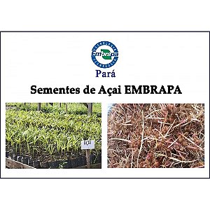 SEMENTES DE AÇAI BRS PARA 20KG