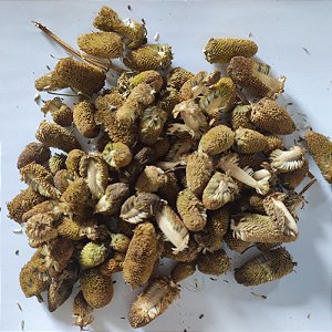 Flor de Jambu desidratada 1kg