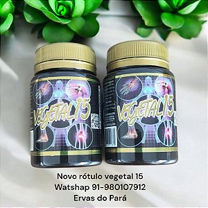 VEGETAL 15 02 FRASCO
