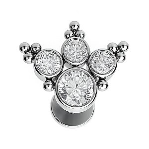 Labret Pata com Garras em Titânio
