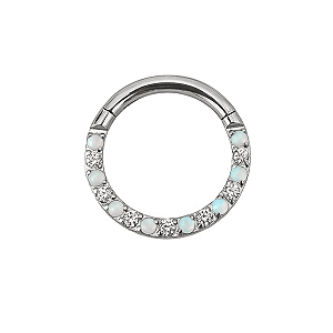 Argola de Titânio com Zircônias e Opalas