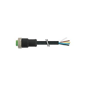 7700-A3021-UMB0500 MURRELEKTRONIK Mini (7/8) 3 pólos, fêmea reto com cabo PUR, UL/CSA, 3x16AWG, preto, 5m