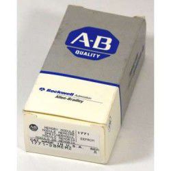 1771-DBMEM2 Allen-Bradley