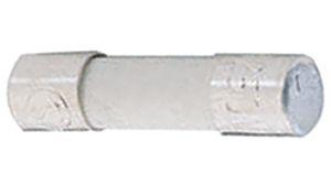 0216010.MXP Littelfuse