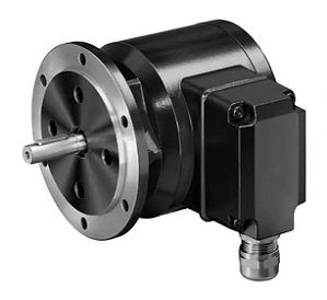 11042716  Baumer Electric - POG 10 DN 1024 I