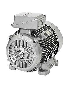 1LE1001-0DB22-2FA4-Z Siemens