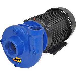 4240-95 AMT Pumps