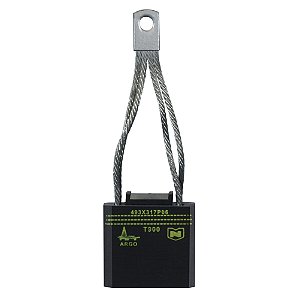 493X317P06 General Electric