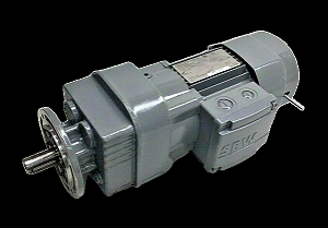 W20 DR63M2/BR/TH SEW Eurodrive