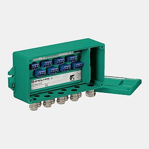 125523 Pepperl Fuchs - F2D0-TI-EX8.FF.CG.ST