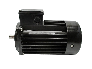 MG80A2-19FT100-C Grundfos