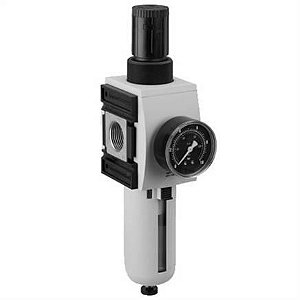 R412009209 Aventics - AS5-FRE-G100-GAU-080-PBP-HO-05.00