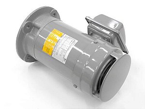 REM3002C Fuji Electric