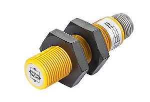 SHN9.GK00.K4 Rheintacho