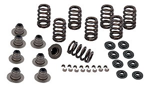 Kit Mola Para Válvula Harley Davidson M8 S&s 900-0958 0,605