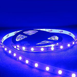 Fita LED SMD 5050 Azul Sem Silicone IP20 5M 12V