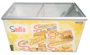 Freezer Horizontal Metalfrio Dupla Ação 380 Litros - 220V