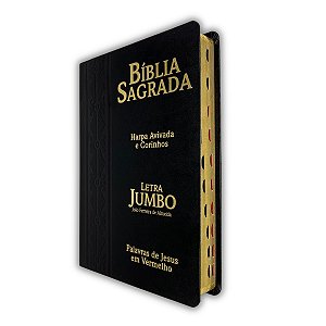 Bíblia Sagrada Com Letra Jumbo e Harpa Preta Arabesco - CPP