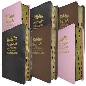 Kit com 10 Bíblias Revenda Doação Evangelismo Letra Gigante Com Índice e Harpa