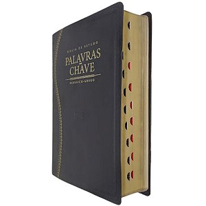 Bíblia De Estudo Palavras Chave Hebraico - Grego Luxo Preta