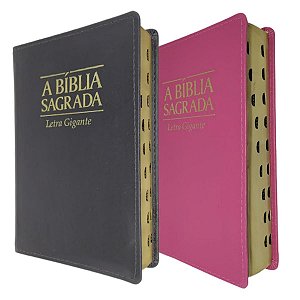 Kit 2 Bíblia Sagrada Evangélica Letra Gigante Almeida