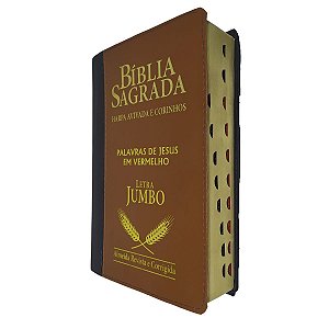 Bíblia Sagrada Bicolor Letra Jumbo Harpa Marrom com Preta