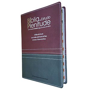 Bíblia De Estudo Plenitude Luxo Bordo E Chumbo Índice - SBB